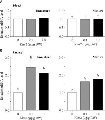 Kisspeptin Exhibits Stimulatory Effects on Expression of the Genes for Kisspeptin Receptor, GnRH1 and GTH Subunits in a Gonadal Stage-Dependent Manner in the Grass Puffer, a Semilunar-Synchronized Spawner